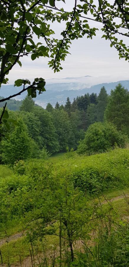 Domek Na Folwarku Tarnawa Dolna  Exterior foto